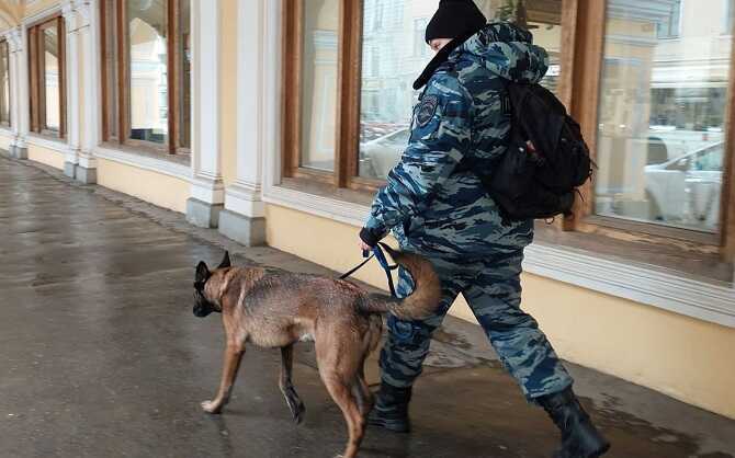 В Питере эвакуировали жилой дом после сообщения об СВУ в подвале