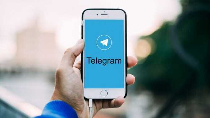 Telegram раскрыл данные 632 пользователей во Франции в третьем квартале 2024 года