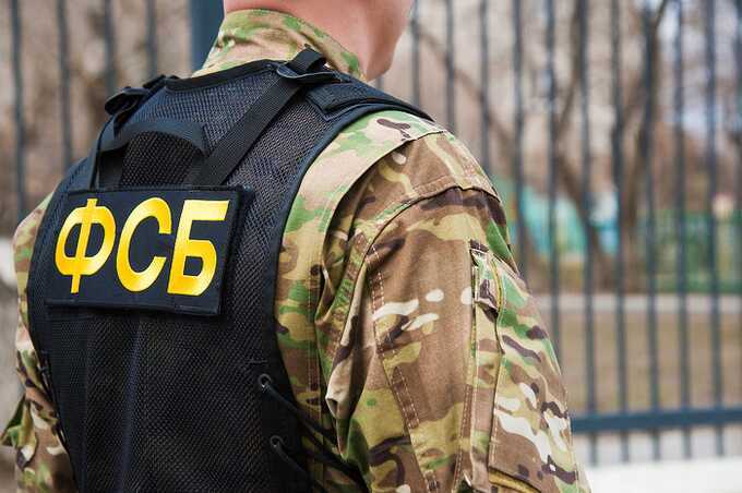 Бывшего сотрудника ФСБ Олега Михалёва обвинили в связях с киллерами из силовых структур